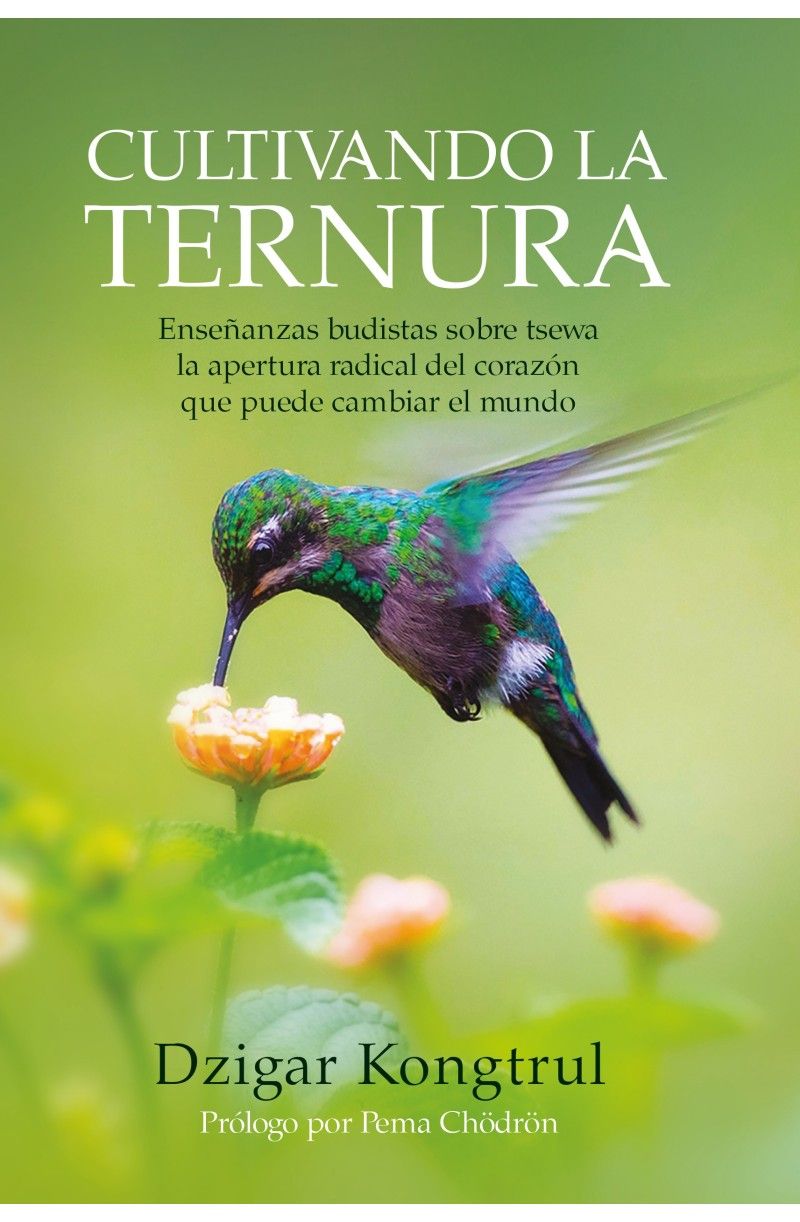 CULTIVANDO LA TERNURA . ENSEANZAS BUDISTAS SOBRE TSEWA