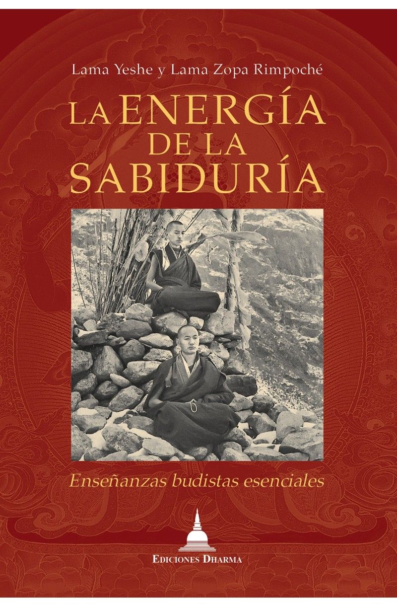 LA ENERGIA DE LA SABIDURIA . ENSEANZAS BUDISTAS ESENCIALES 