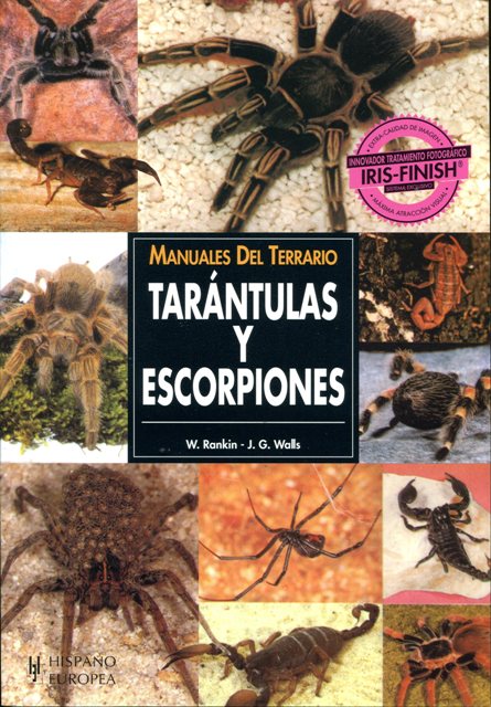 TARANTULAS Y ESCORPIONES . MANUALES DEL TERRARIO