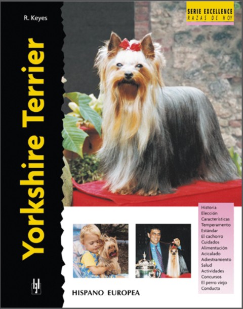 YORKSHIRE TERRIER . SERIE EXCELLENCE