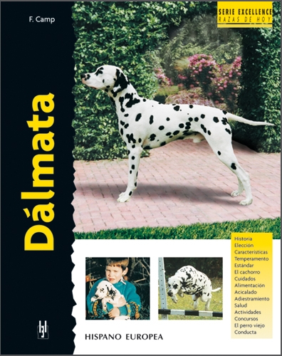 DALMATA. SERIE EXCELLENCE