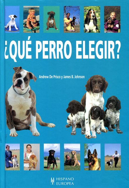 QUE PERRO ELEGIR ?