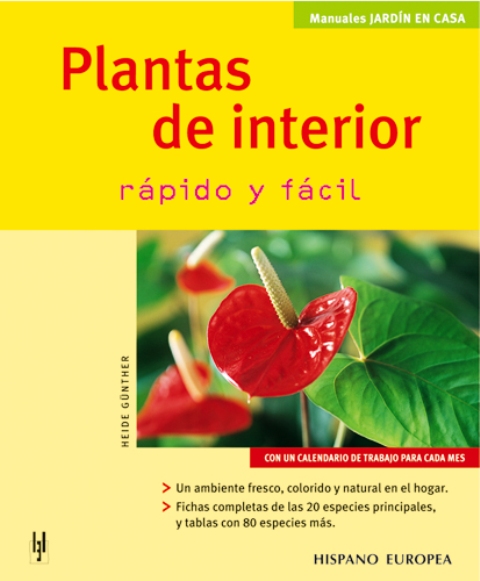 PLANTAS DE INTERIOR . RAPIDO Y FACIL