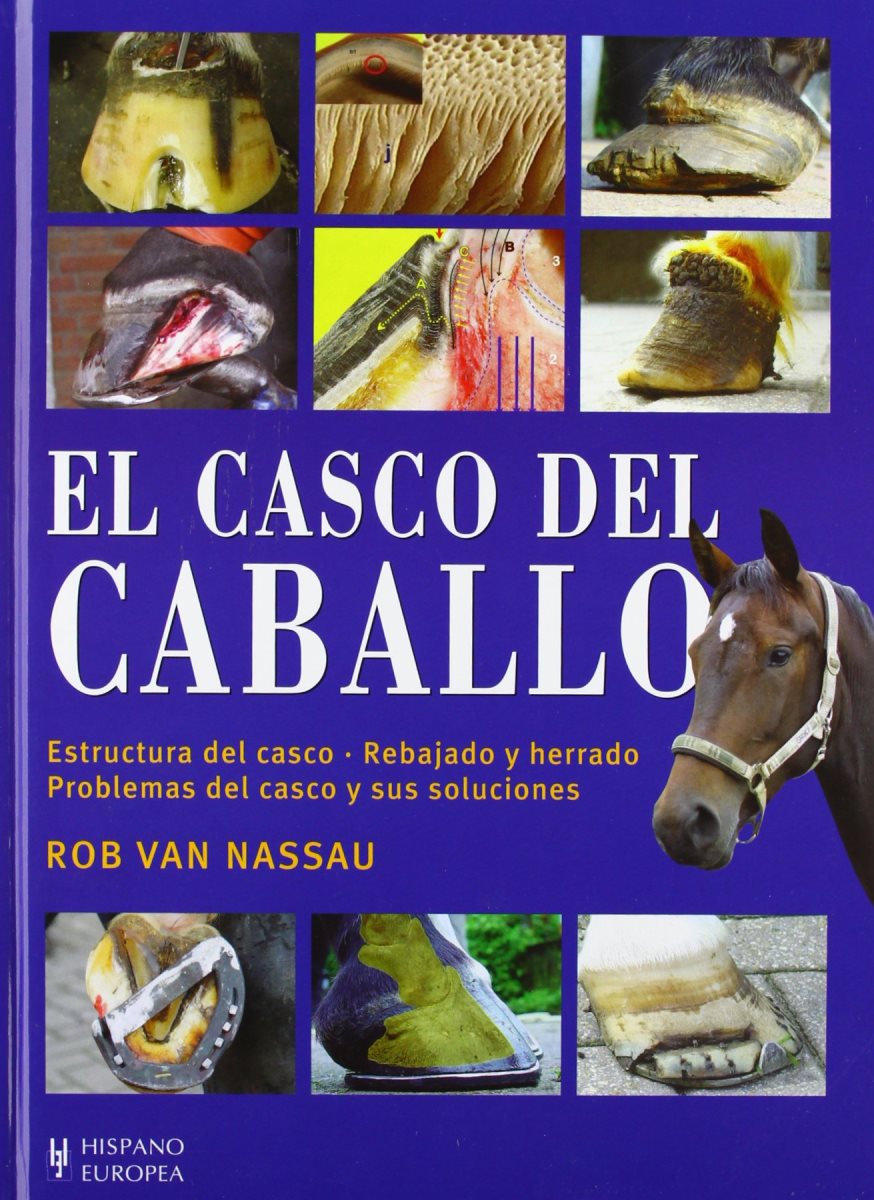 EL CASCO DEL CABALLO 