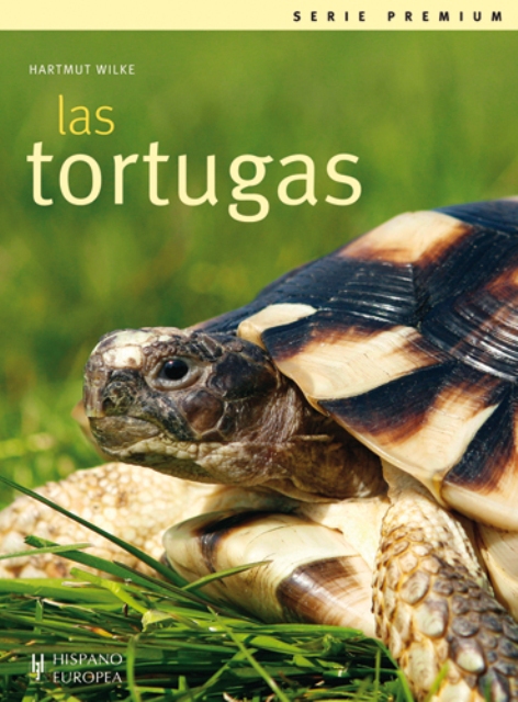 LAS TORTUGAS 