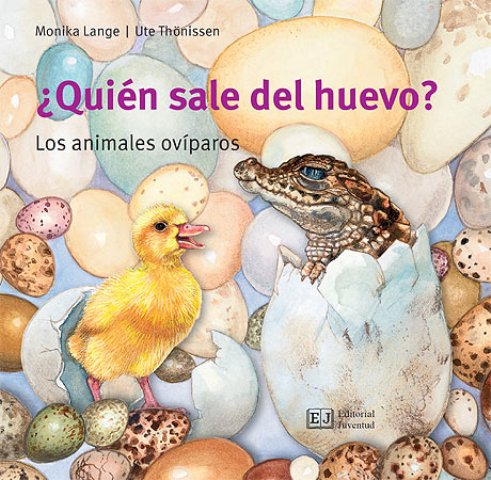 QUIEN SALE DEL HUEVO ? . LOS ANIMALES OVIPAROS