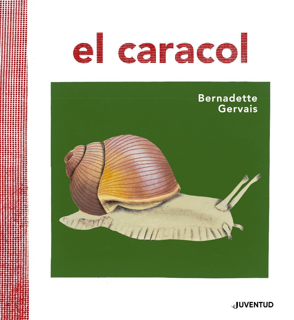 EL CARACOL 