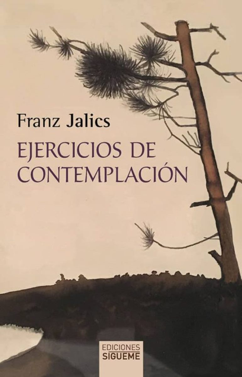 EJERCICIOS DE CONTEMPLACION (2DA.EDICION)