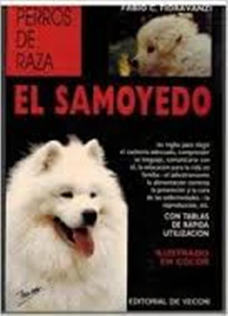 EL SAMOYEDO (D) - PERROS DE RAZA 