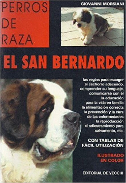 EL SAN BERNARDO - PERROS DE RAZA 