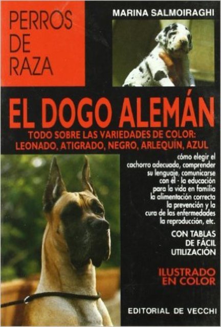 EL DOGO ALEMAN PERROS DE RAZA 