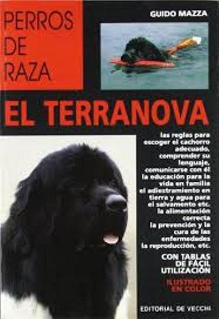 EL TERRANOVA - PERROS DE RAZA 