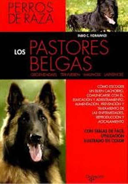 LOS PASTORES BELGAS - PERROS DE RAZA 
