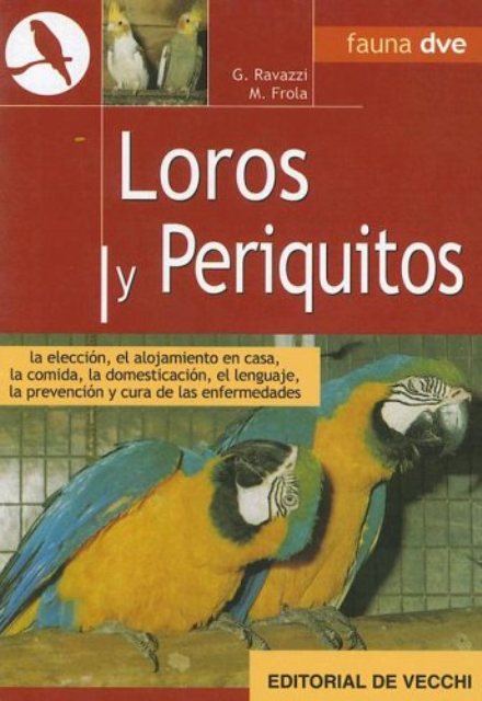 LOROS Y PERIQUITOS - ANIMALES EN CASA