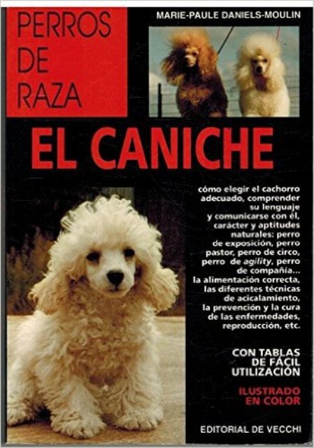 EL CANICHE - PERROS DE RAZA 