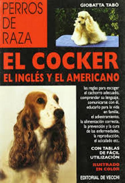 EL COCKER INGLES Y EL AMERICANO - PERROS DE RAZA 