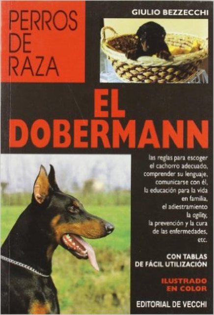 EL DOBERMANN - PERROS DE RAZA 