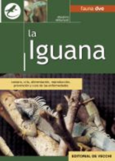 LA IGUANA 