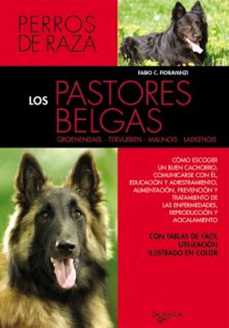 LOS PASTORES BELGAS 