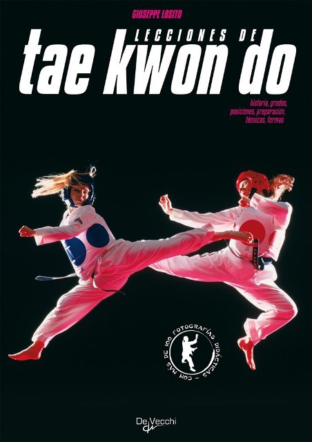 TAE KWON DO LECCIONES DE