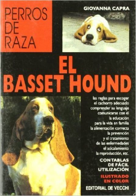 EL BASSET HOUND - PERROS DE RAZA 