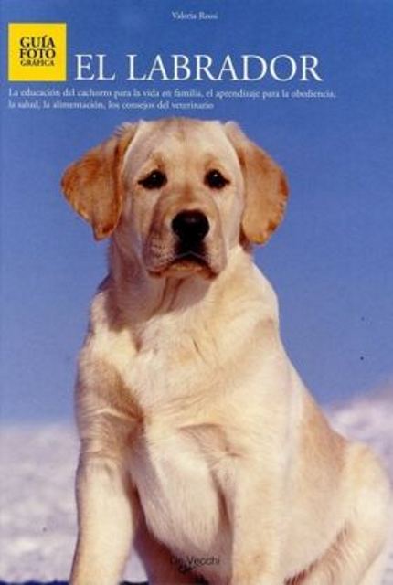 EL LABRADOR 