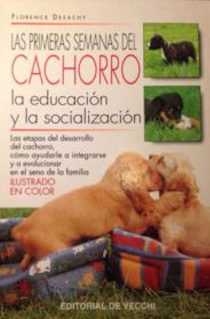 LAS PRIMERAS SEMANAS DEL CACHORRO 