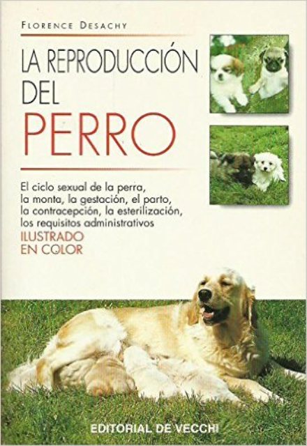 LA REPRODUCCION DEL PERRO 