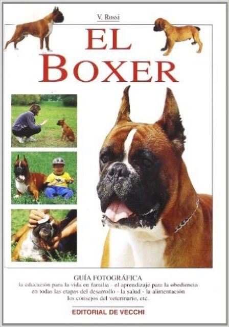 EL BOXER 