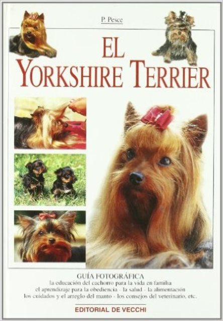 EL YORKSHIRE TERRIER 