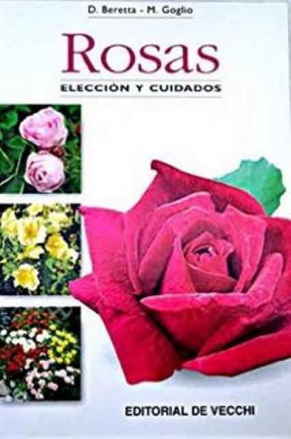 ROSAS ELECCION Y CUIDADOS