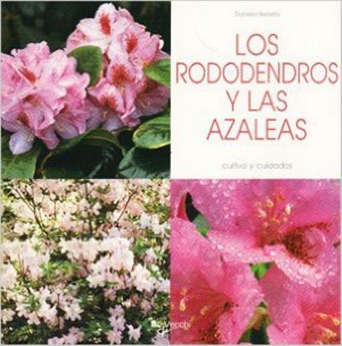 AZALEAS Y REDODENDROS . ELECCIN Y CUIDADOS