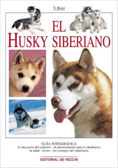 EL HUSKY SIBERIANO 