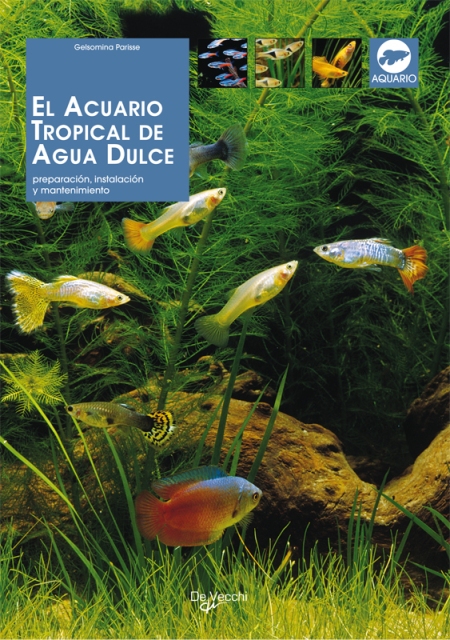 EL ACUARIO TROPICAL DE AGUA DULCE 