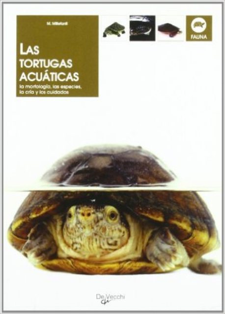 LAS TORTUGAS ACUATICAS 