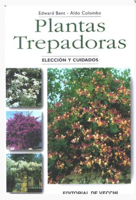 PLANTAS TREPADORAS . ELECCIN Y CUIDADOS