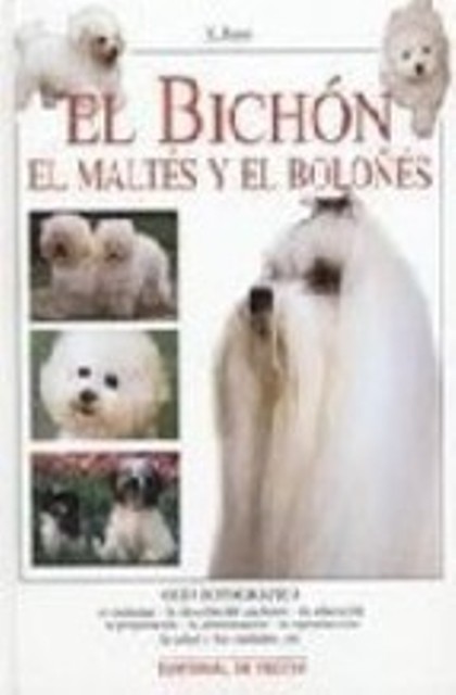EL BICHON EL MALTES Y EL BOLOES 