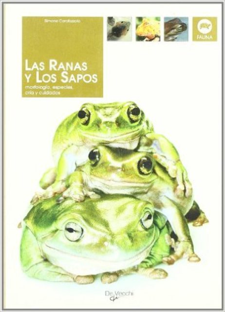 LAS RANAS Y LOS SAPOS 