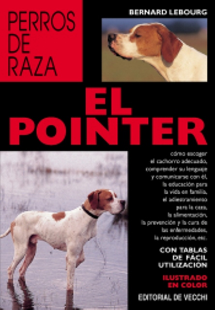 EL POINTER . PERROS DE RAZA 