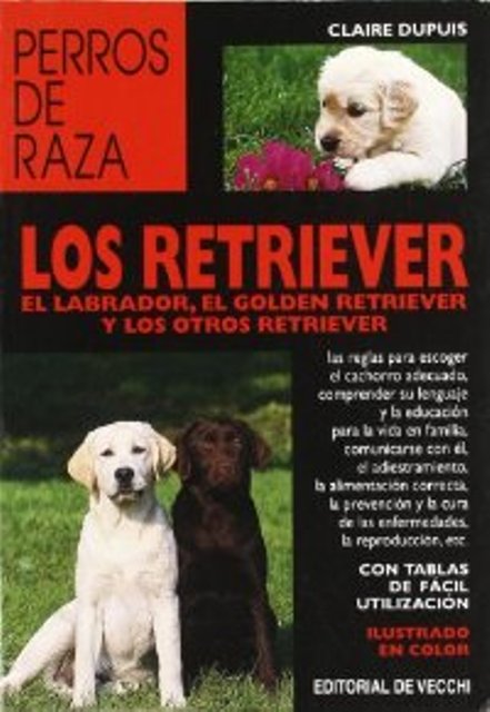 LOS RETRIVER - PERROS DE RAZA