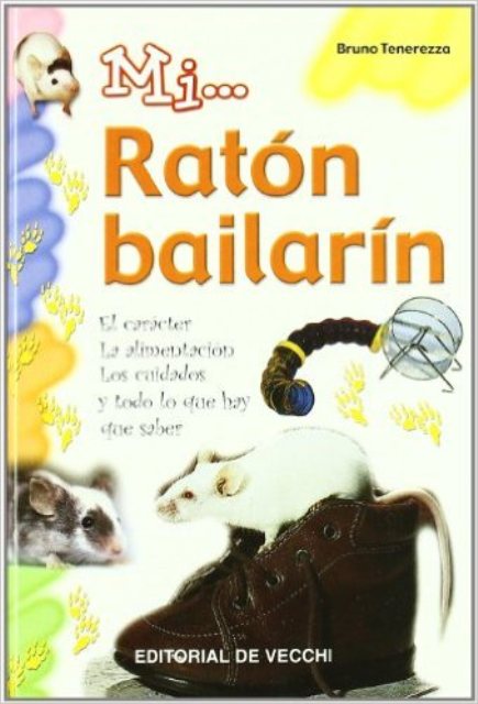 RATON BAILARIN , MI...