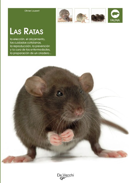 LAS RATAS 