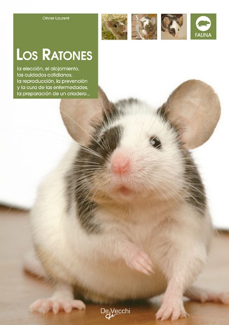 LOS RATONES 