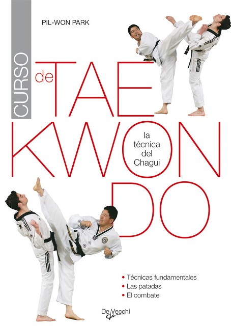 CURSO DE TAEKWONDO