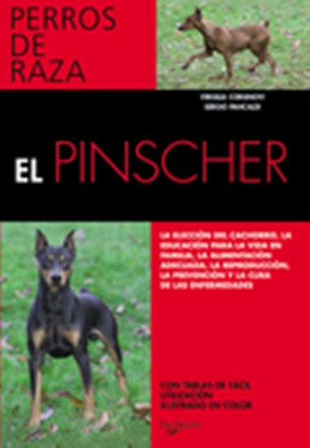 EL PINSCHER . PERROS DE RAZA 