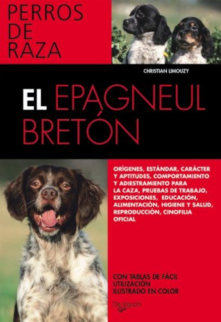 EL EPAGNEUL BRETON . PERROS DE RAZA 