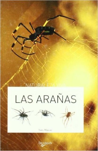 LAS ARAAS 