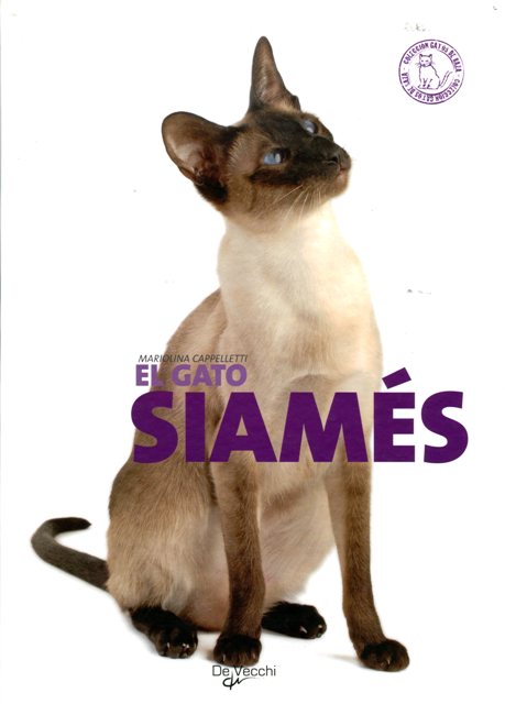 EL GATO SIAMES 