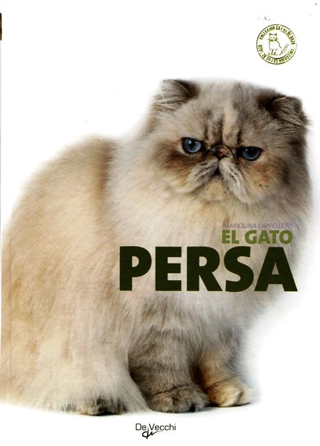 EL GATO PERSA 