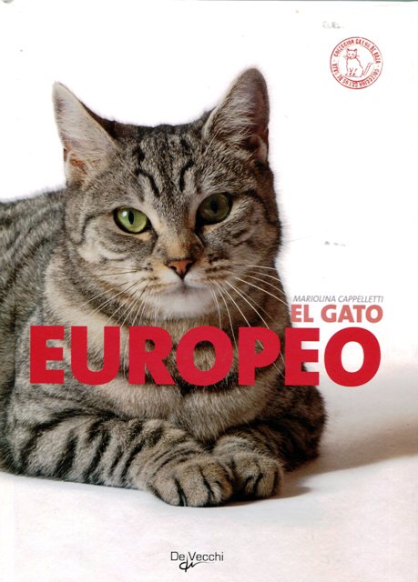 EL GATO EUROPEO 